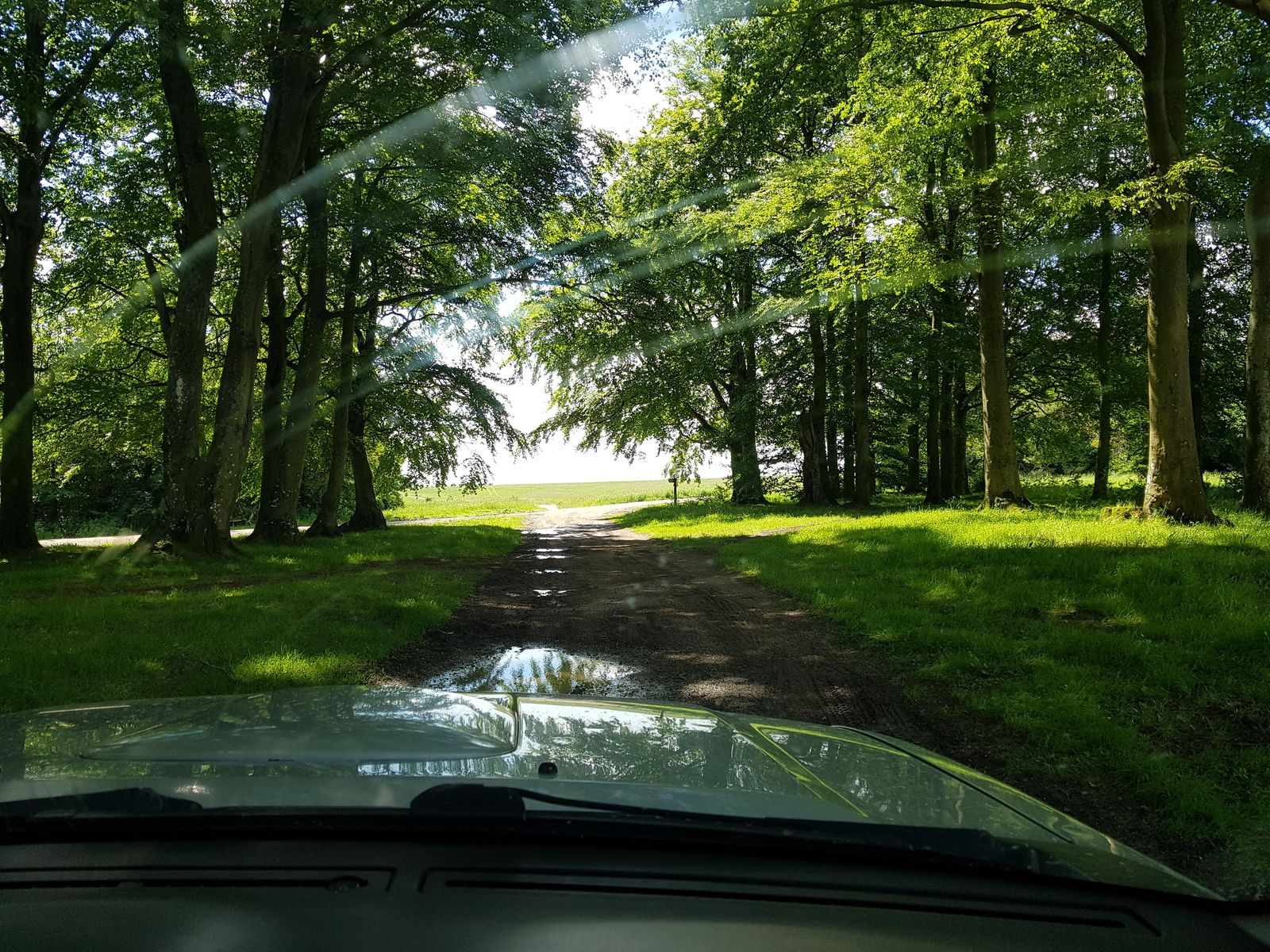 20180602_144752.jpg