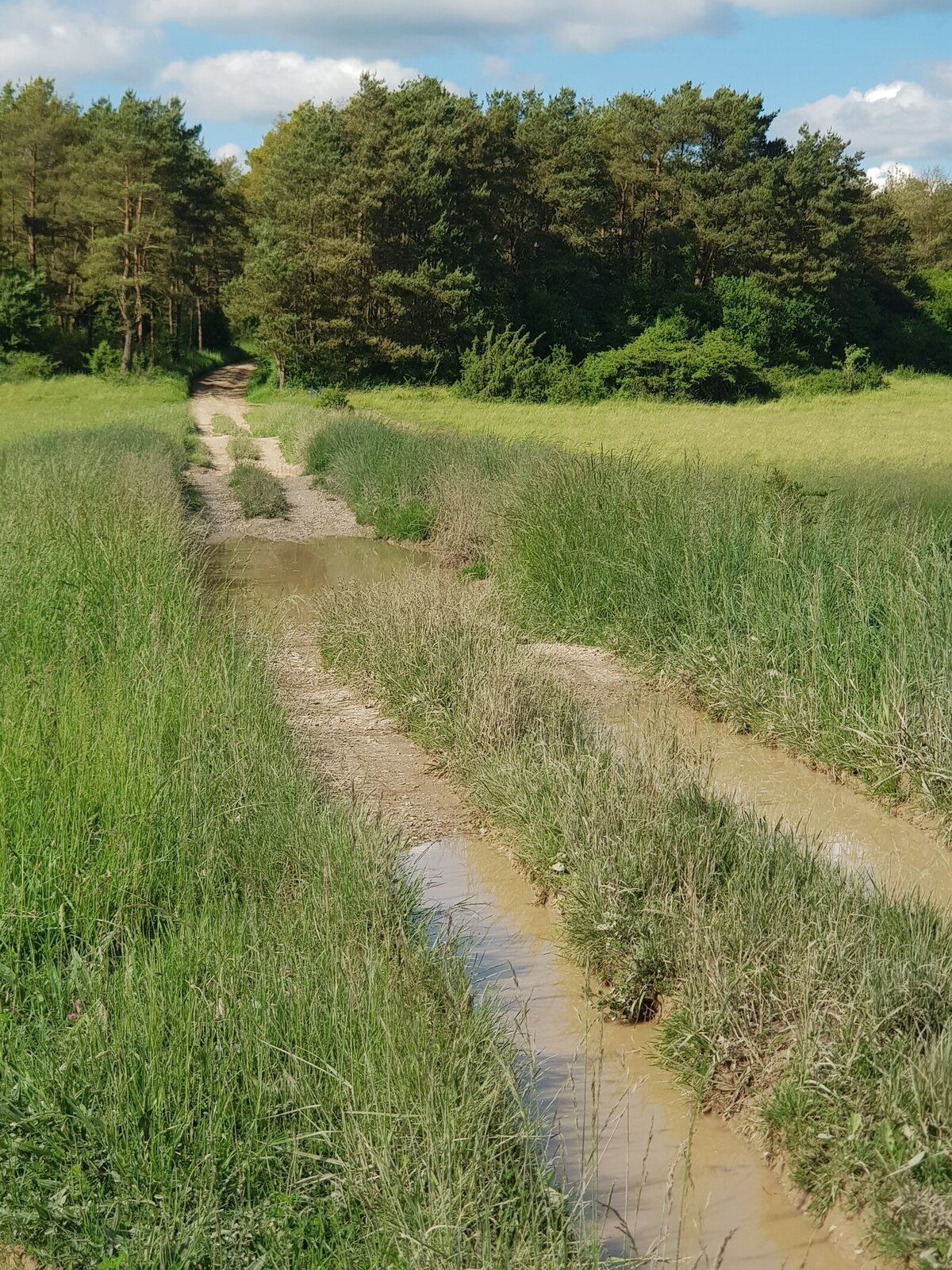 20180602_164355.jpg