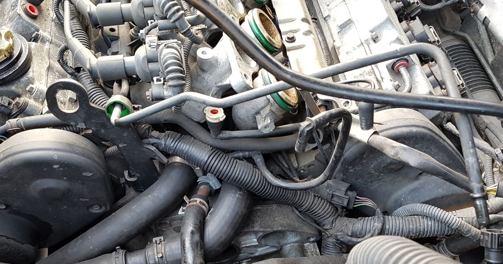20190414_101259.jpg