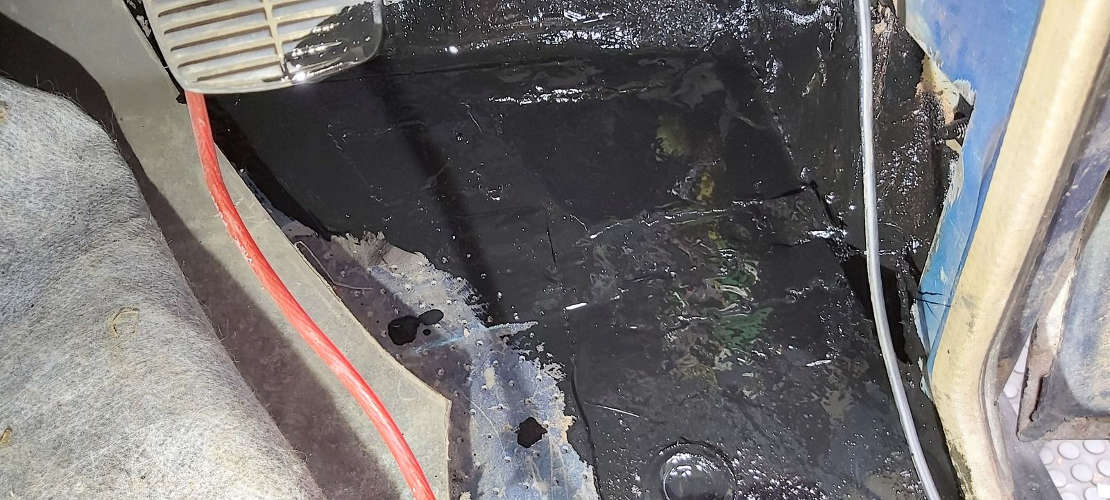 20190912_180319.jpg