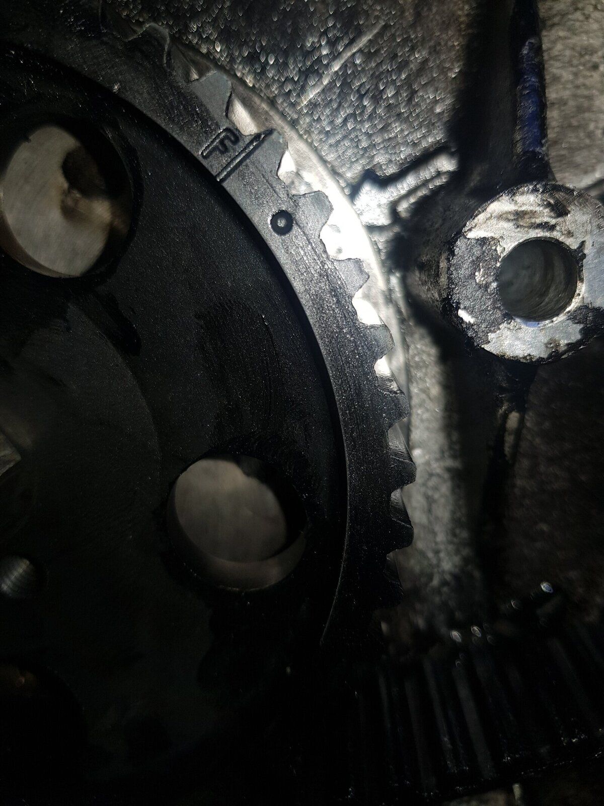 20190919_113614.jpg