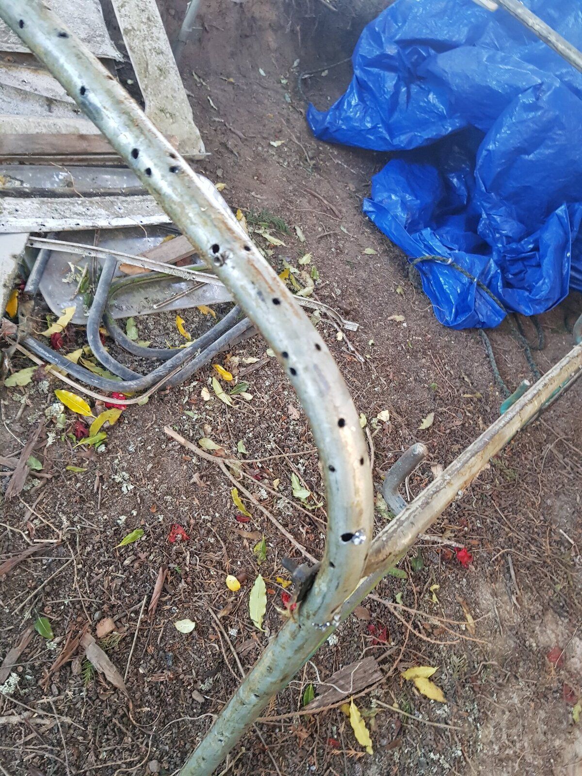 20191006_190653.jpg