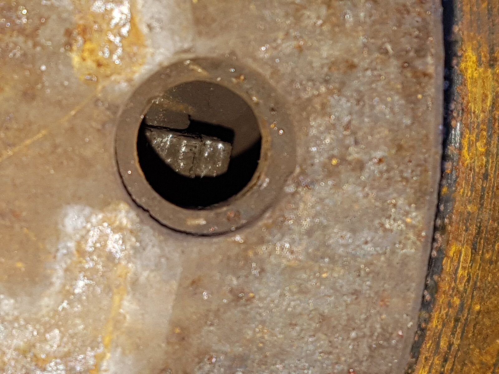 20201212_133439.jpg