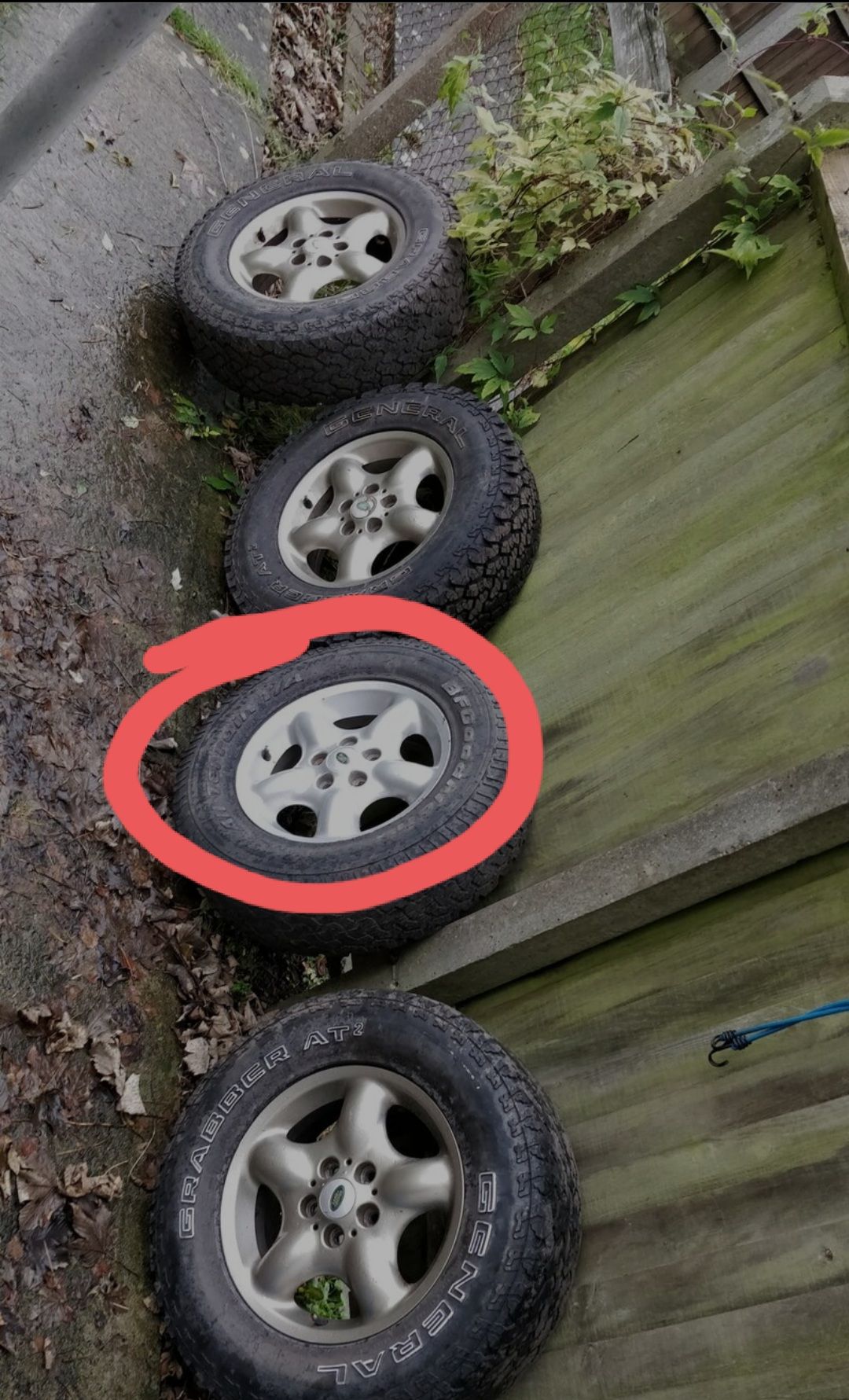 20201216_113747.jpg