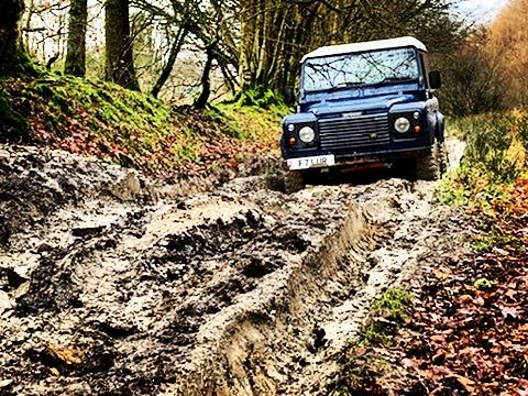 20210515_094709.jpg