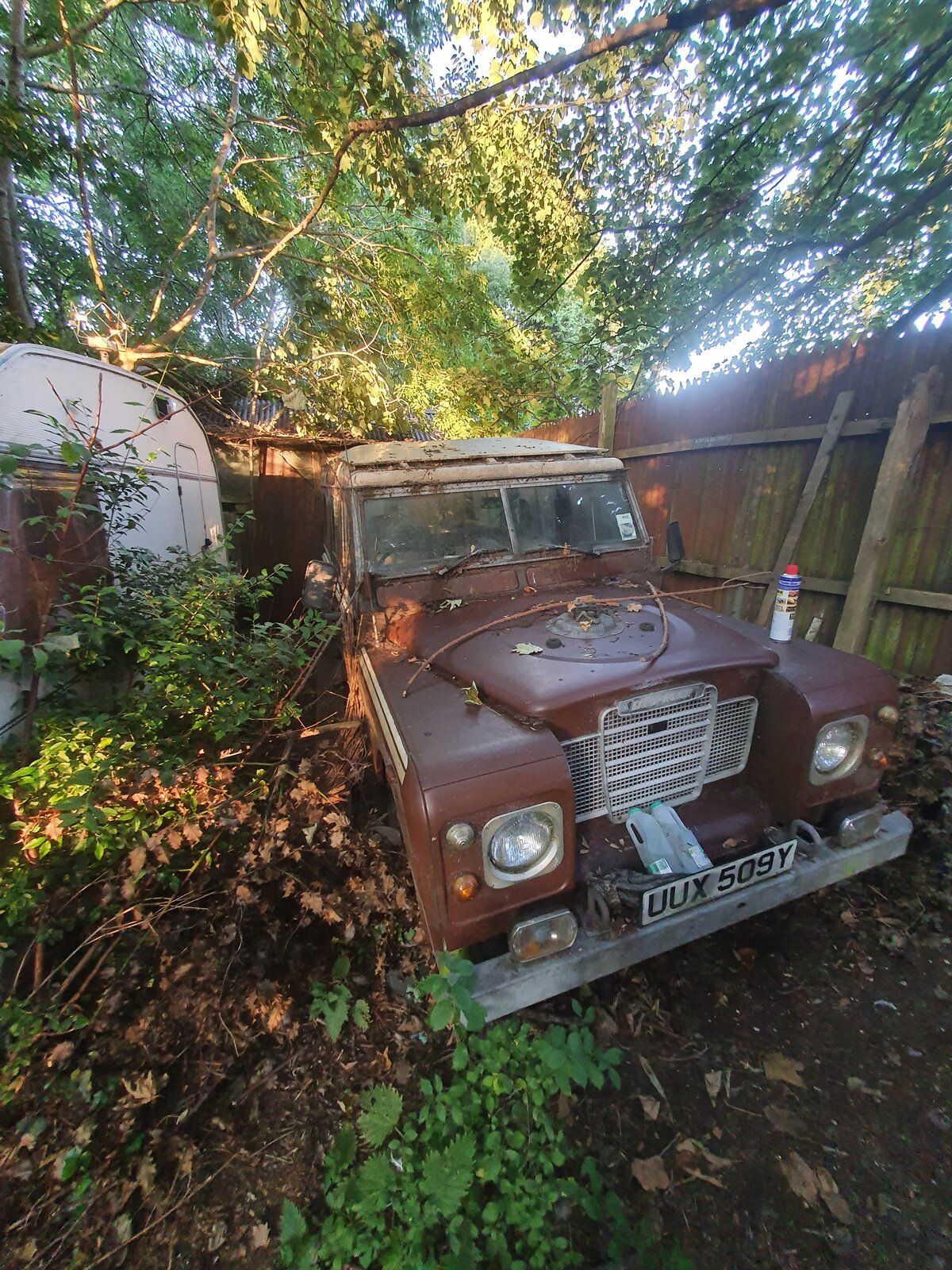 20210828_190444.jpg