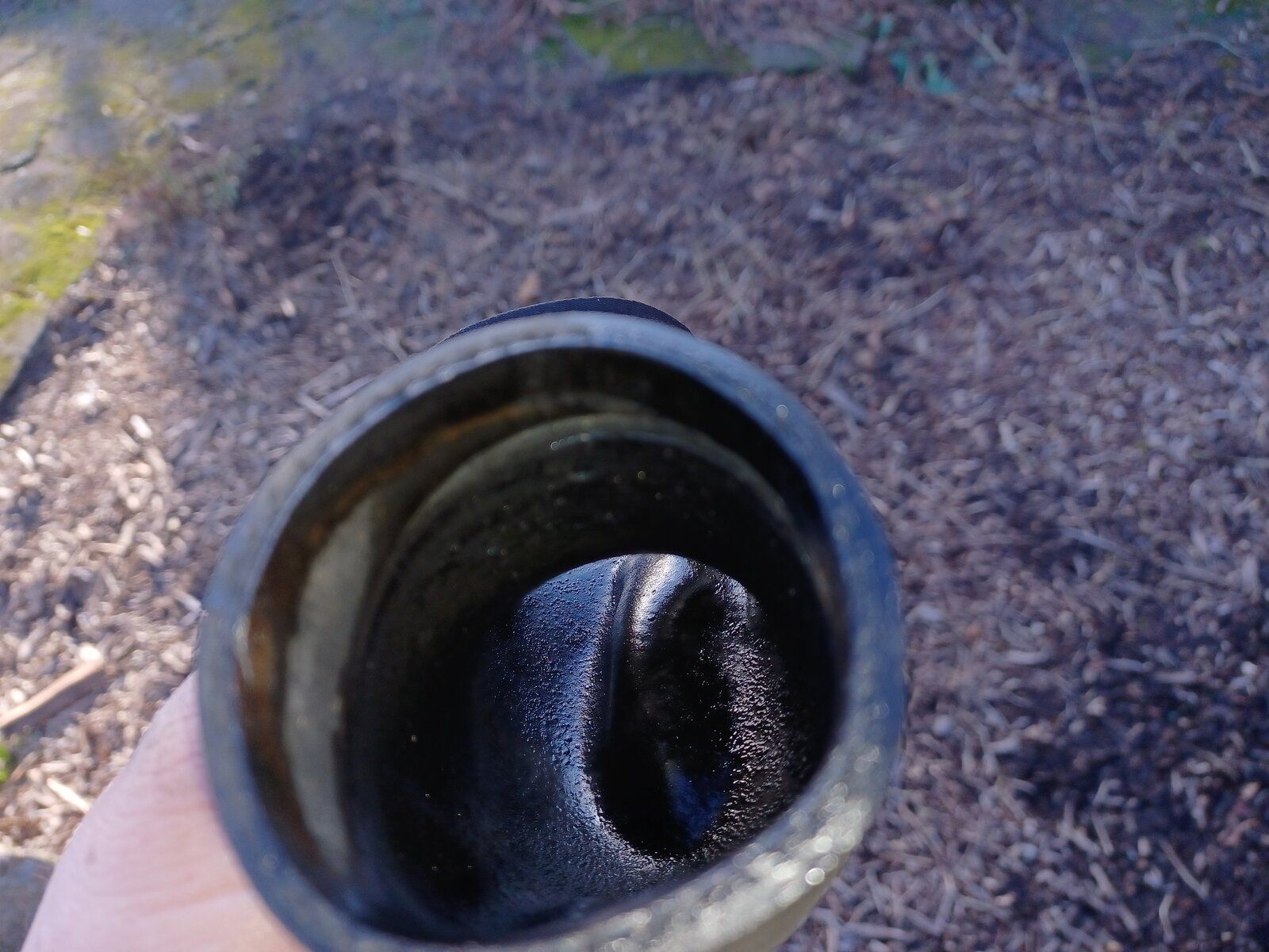 20220120_113559.jpg