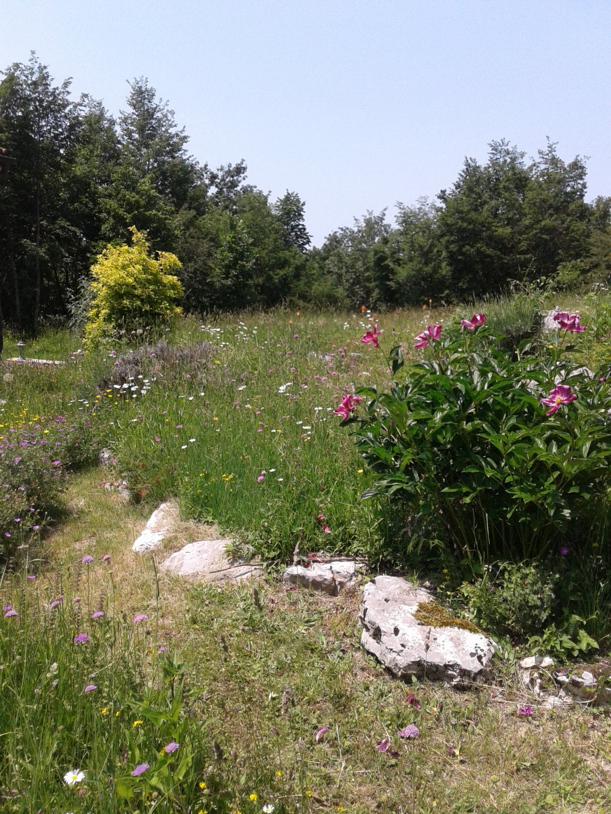 20230618_120221.jpg