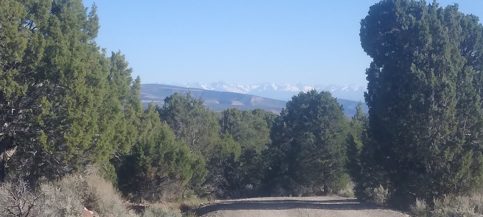 20240605_180515.jpg