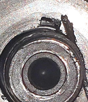 20250717_131214.jpg