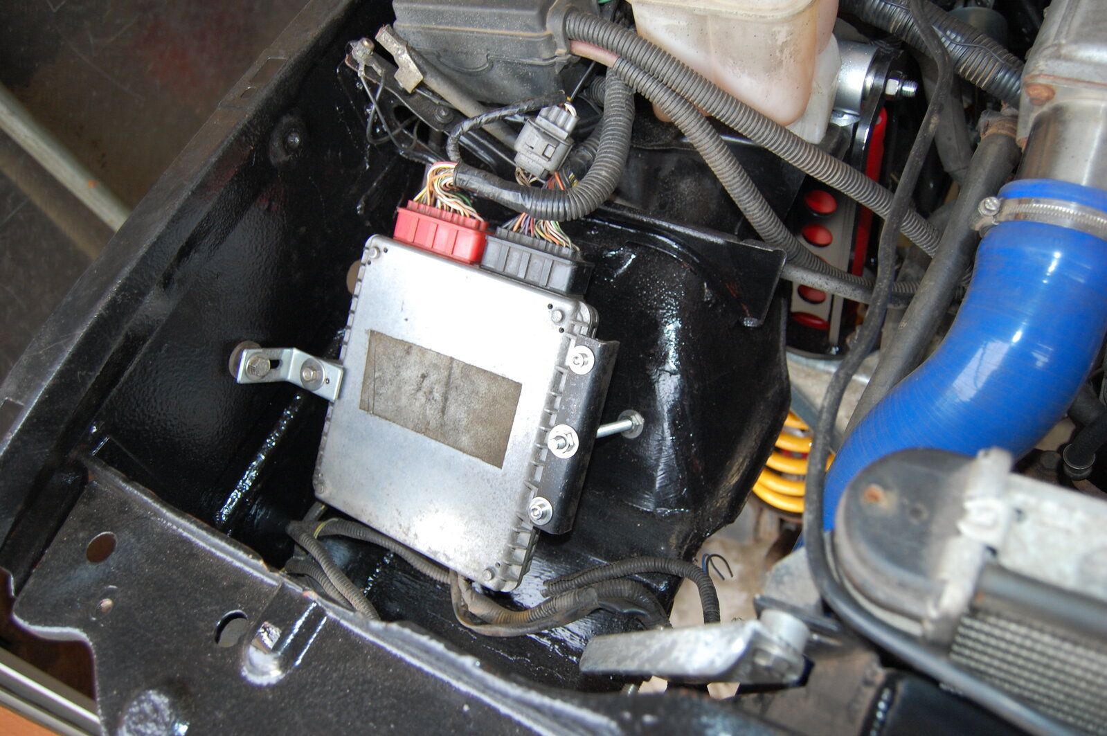410.JPG