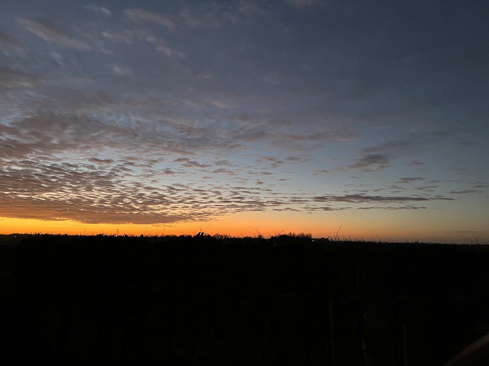 901473FC-5DBF-4106-B5D3-A0FD8E99E172.jpeg