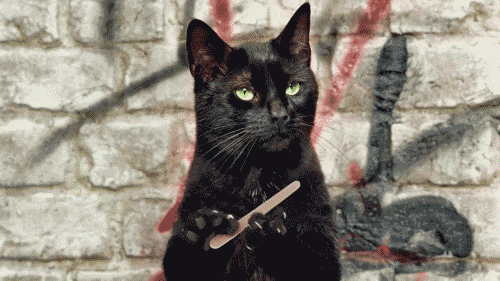 9D73F6AA-3828-45BE-AB44-4E0FF0B26B61.gif