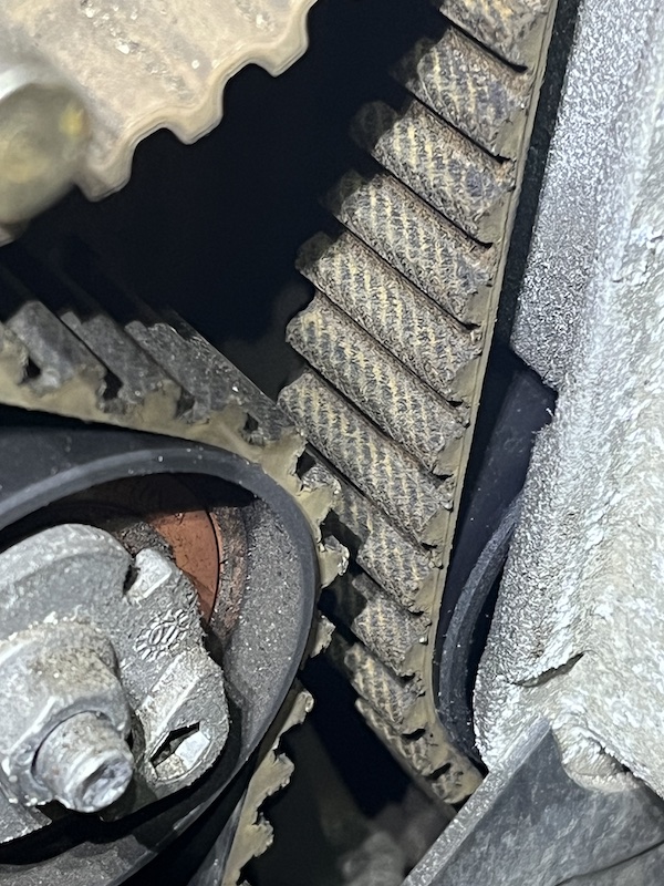 belt3.jpg