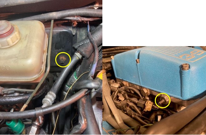 bulkhead hose.jpg