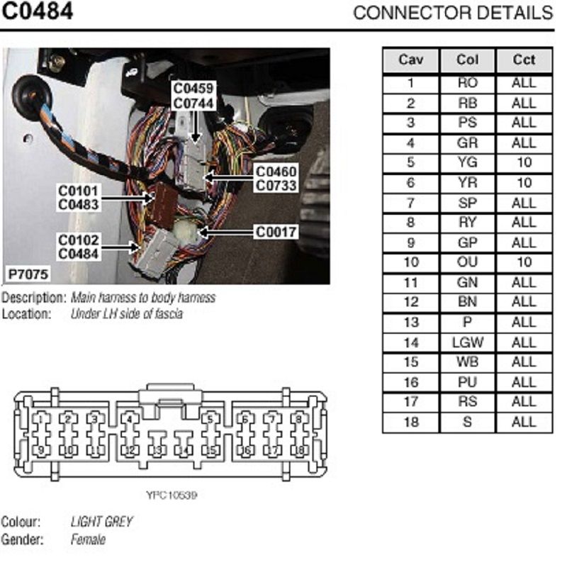 C0484.jpg