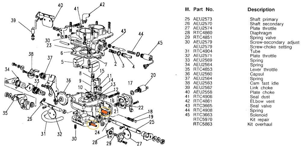 Carb Hoses.jpg