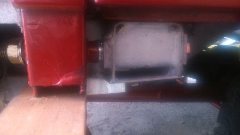 Close up.jpg