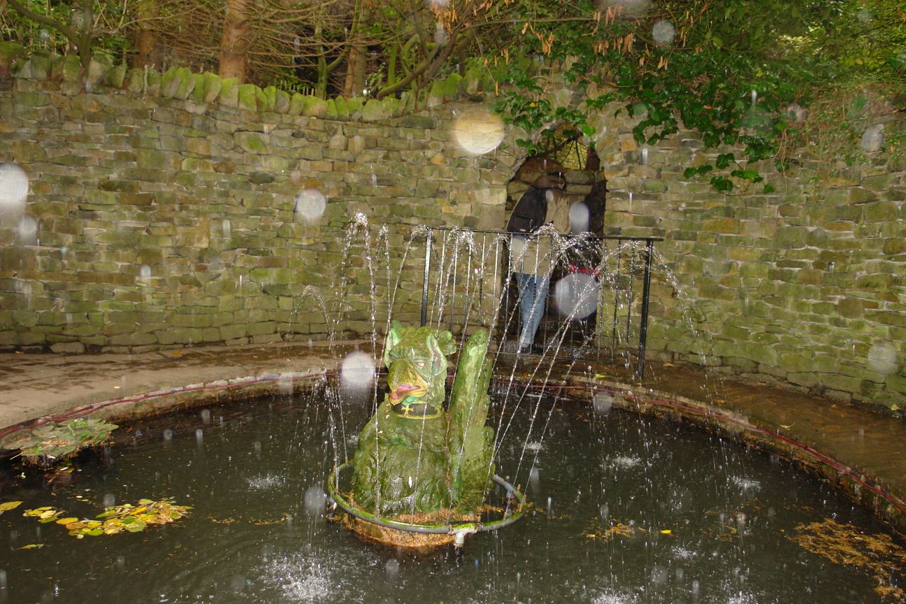 DSC08347.JPG