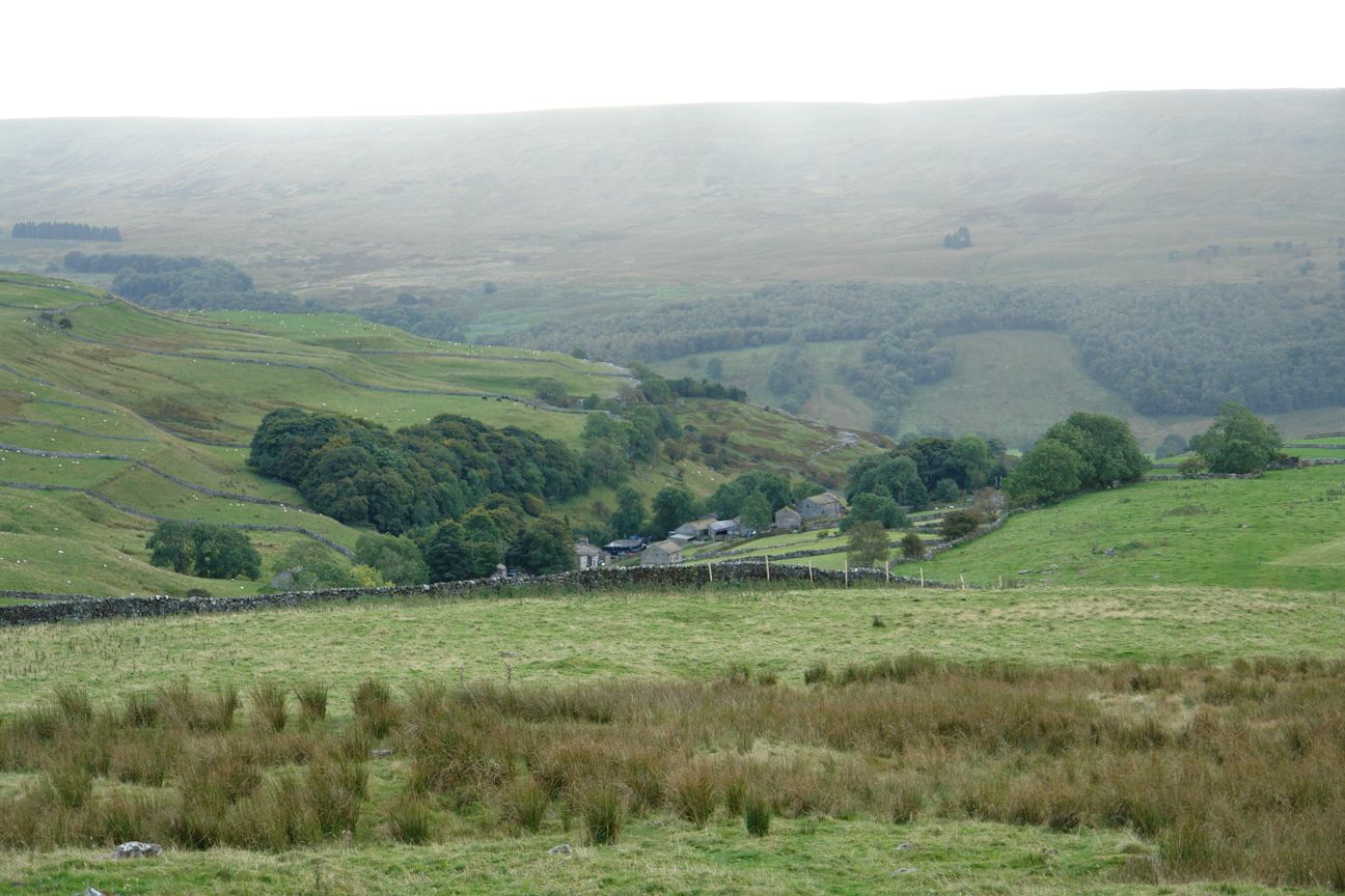 DSC08354.JPG