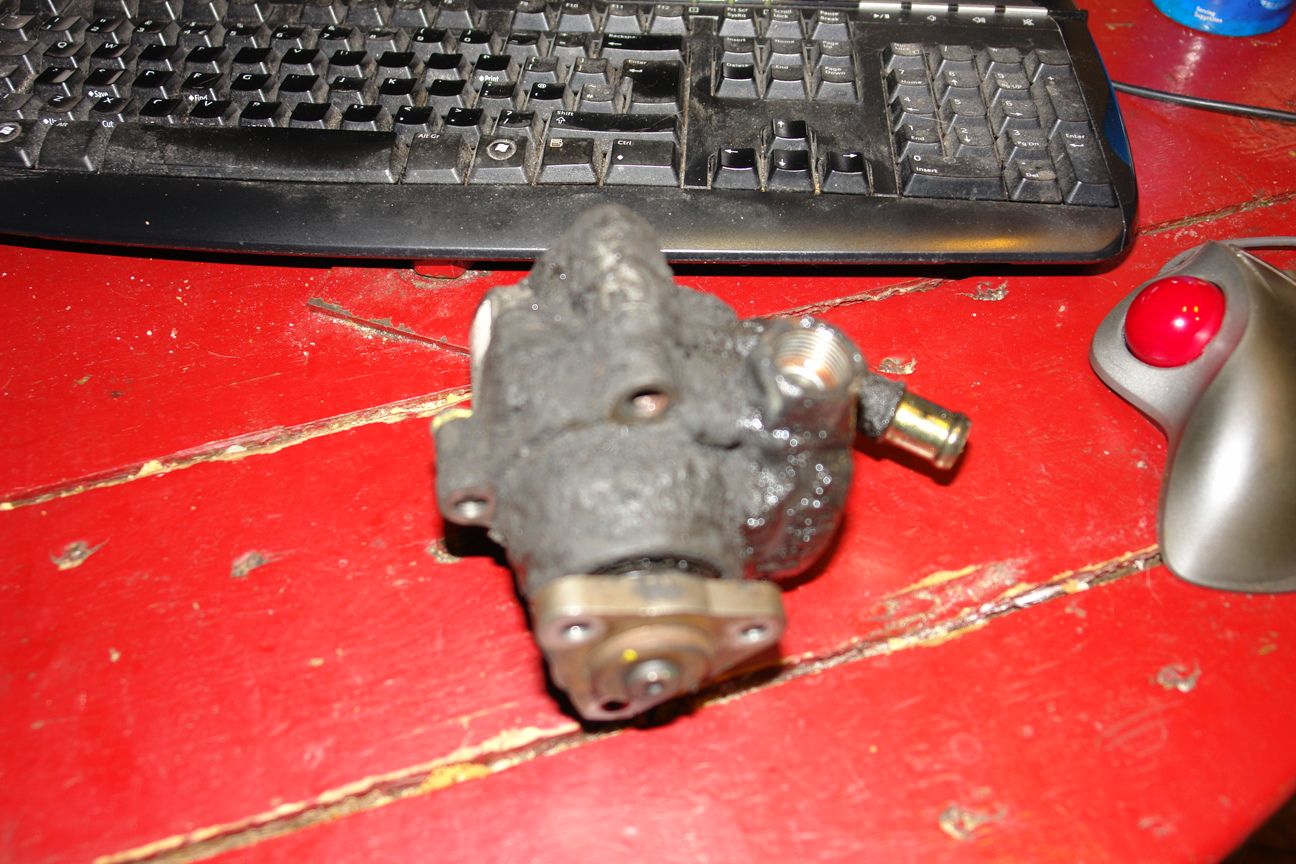 DSC08525.JPG