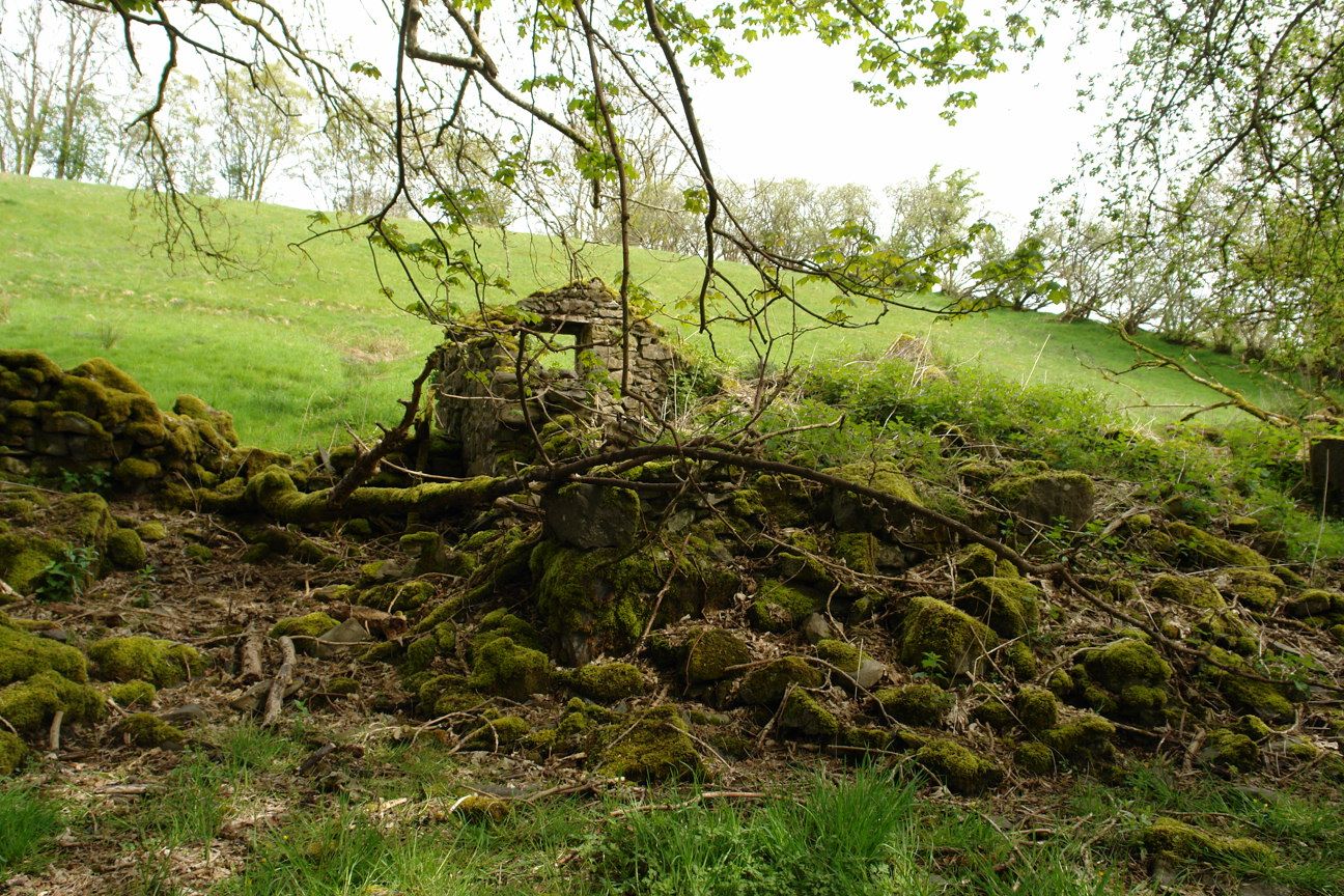 DSC08704.JPG