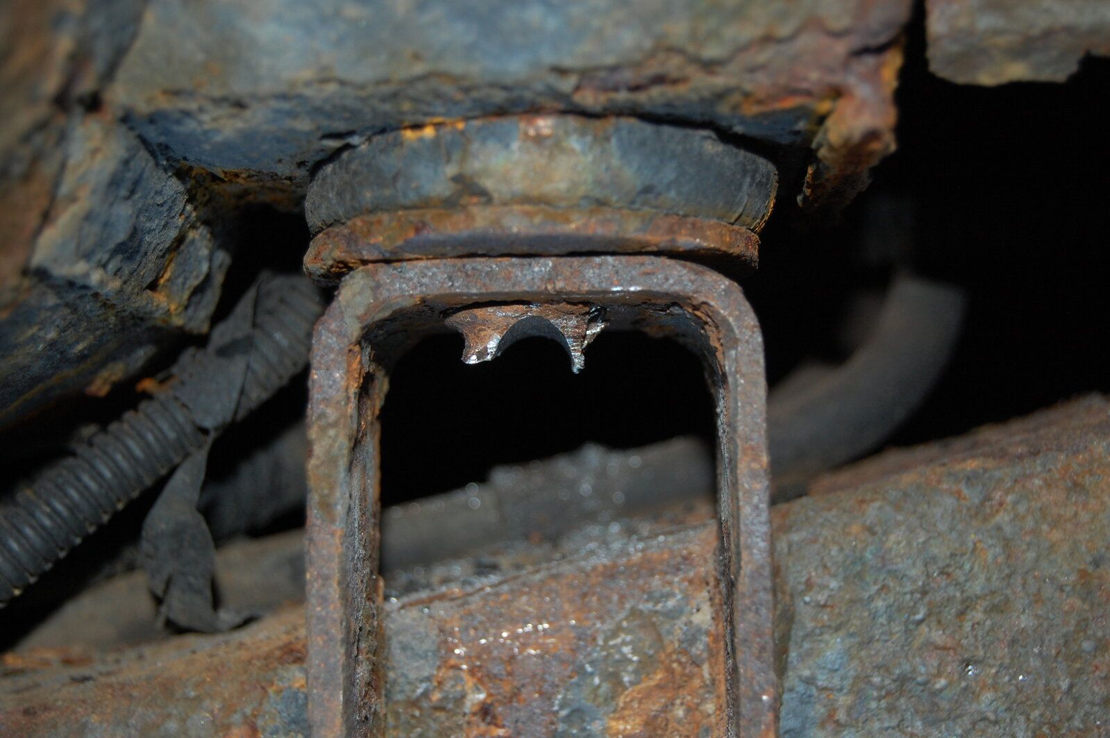 DSC_0373.JPG