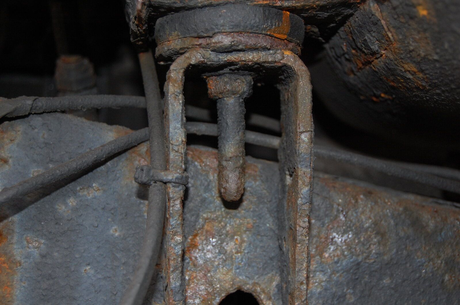 DSC_0378.JPG