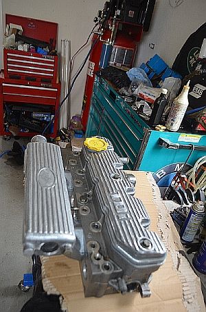 DSC_5274.jpg