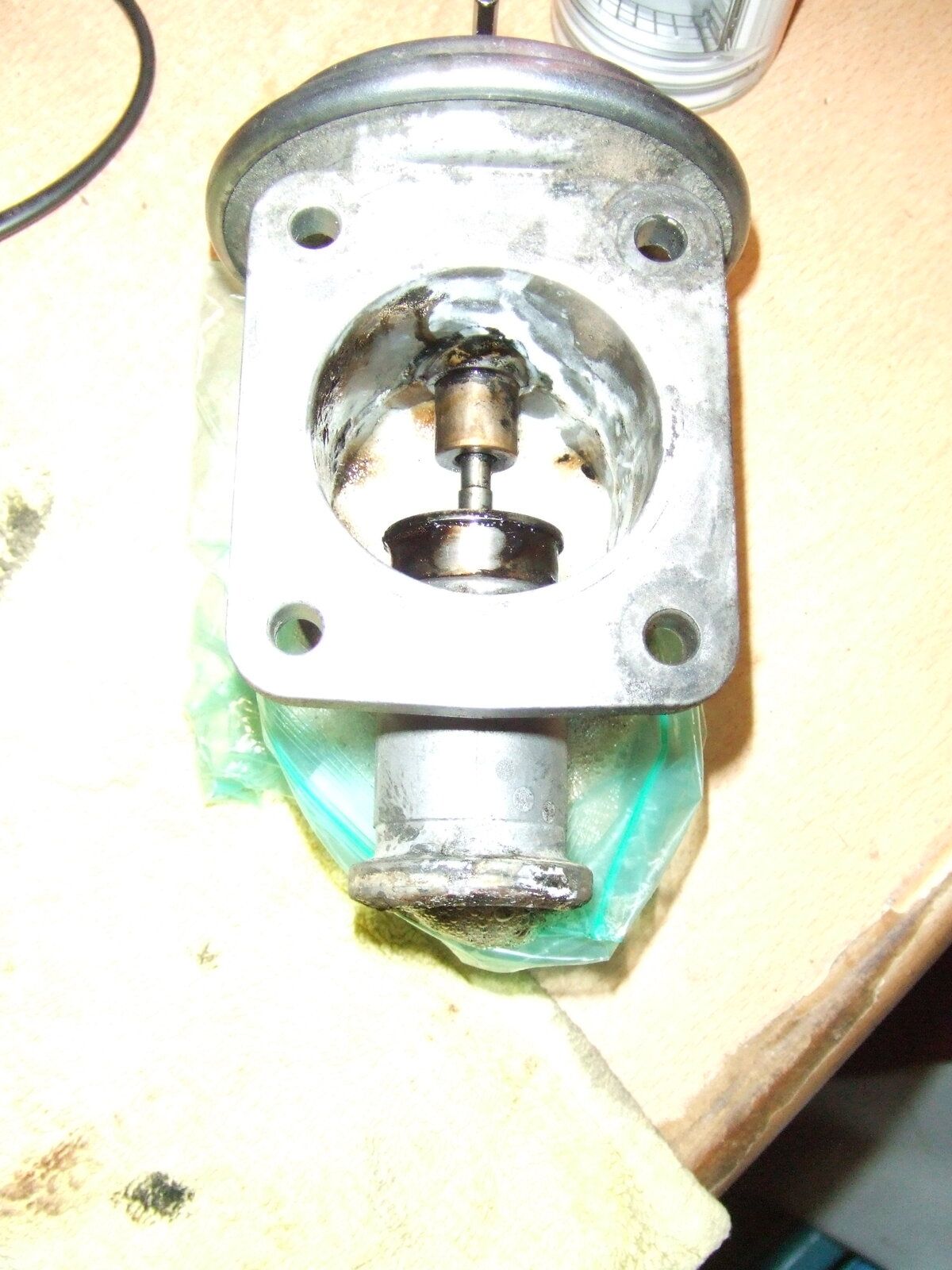 DSCF1228.JPG