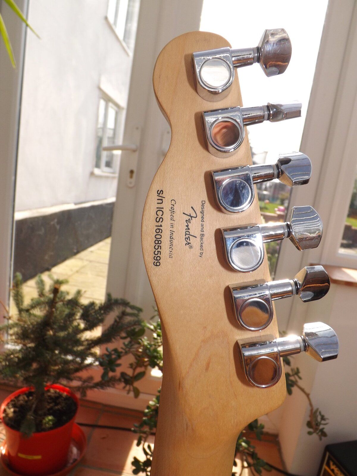 DSCF5824.JPG