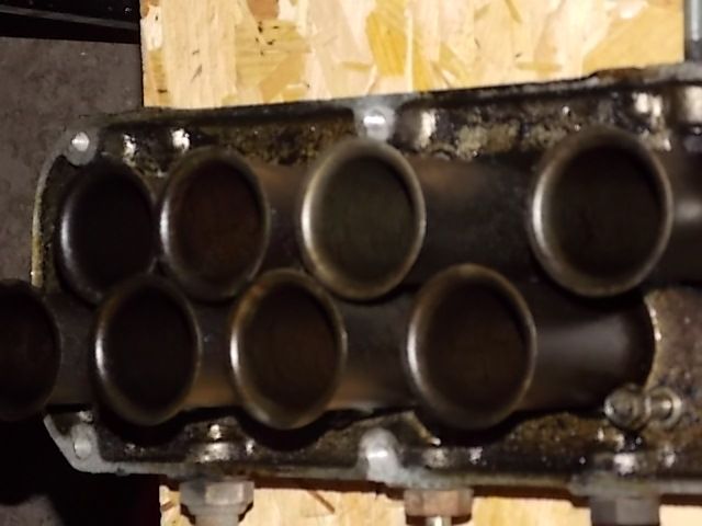 DSCN0746.JPG