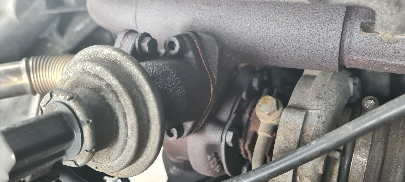 EGR Rear.jpg