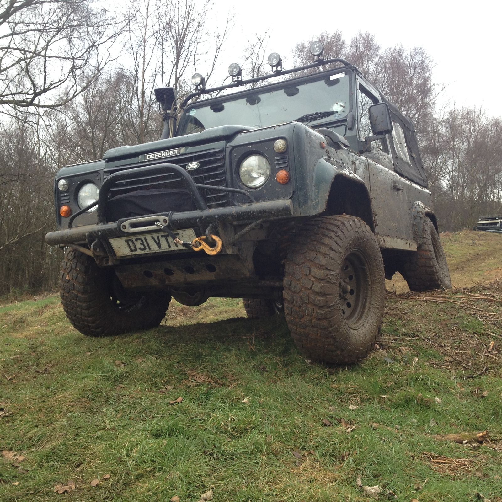 FEF.JPG