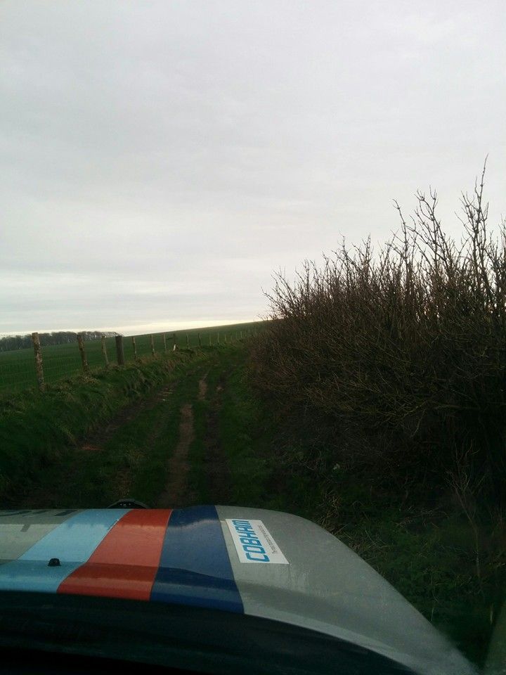 freelander laning 3.jpg