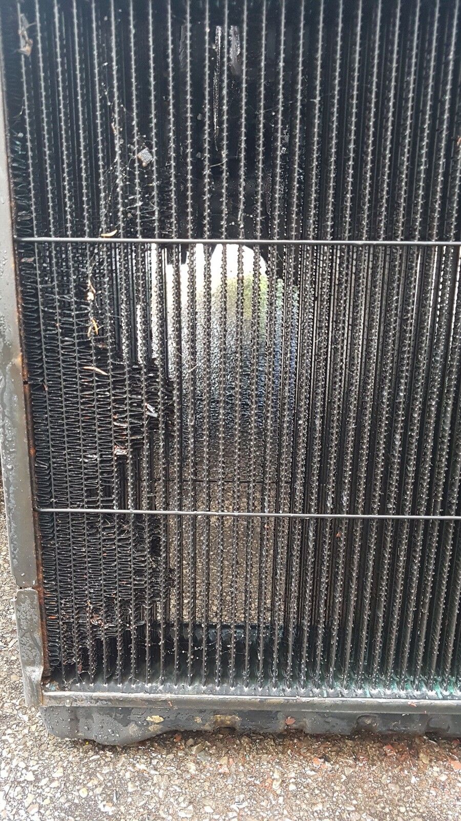 IMG-20170825-WA0010.jpeg