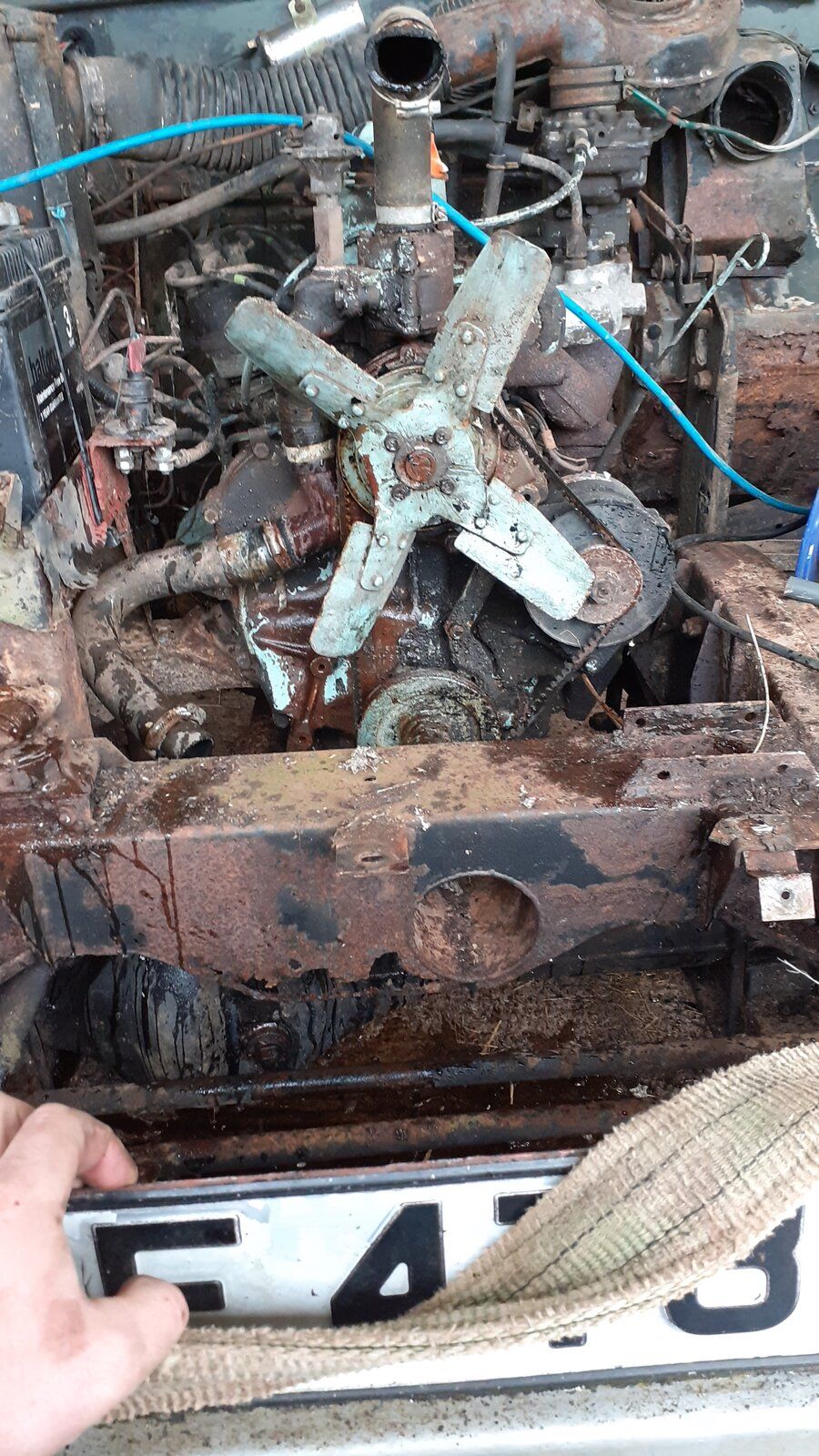 IMG-20210126-WA0004.jpeg