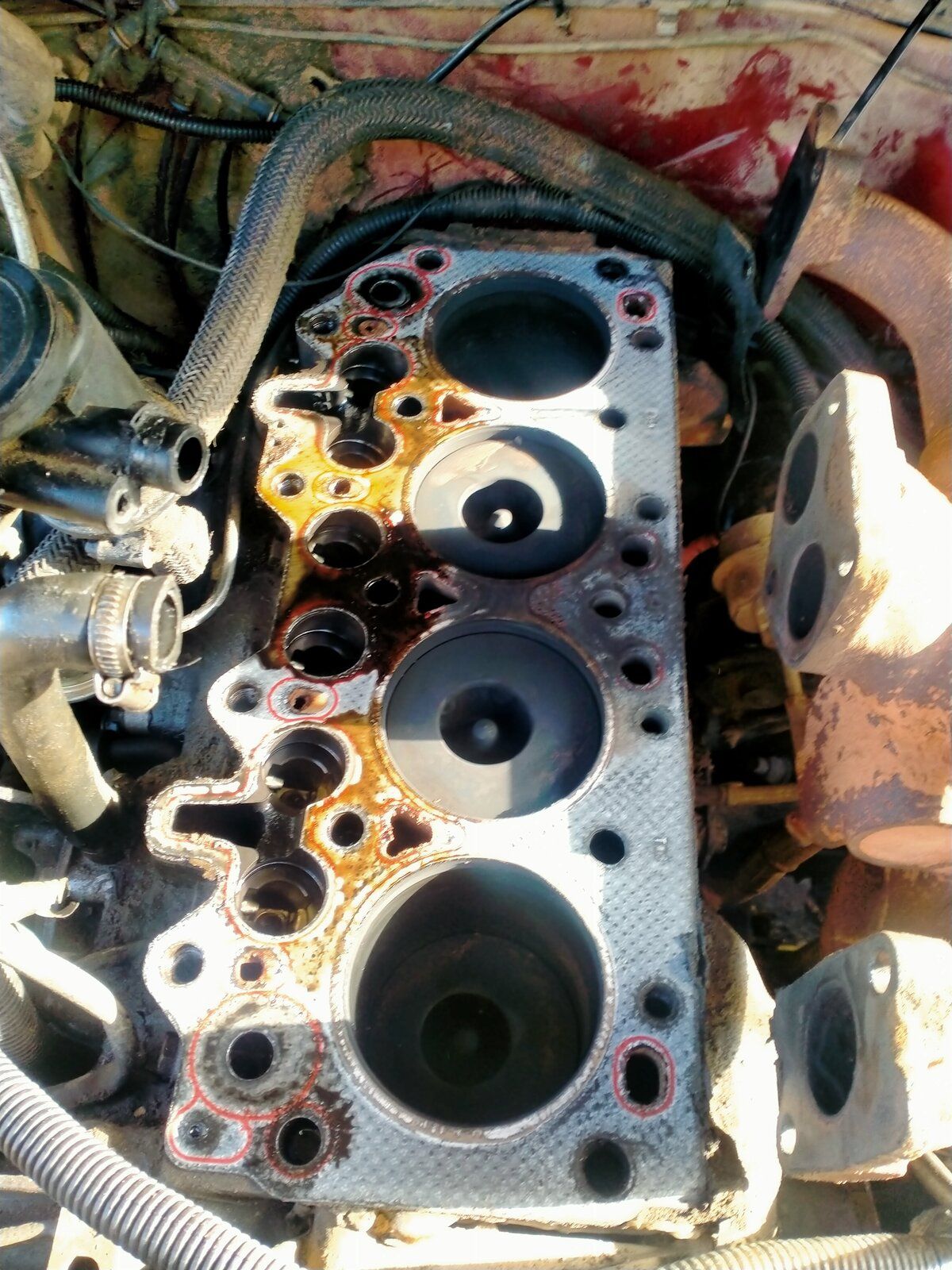 IMG20220226111145.jpg