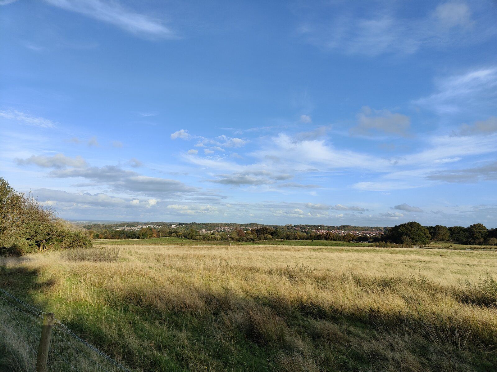 IMG20221025155146.jpg