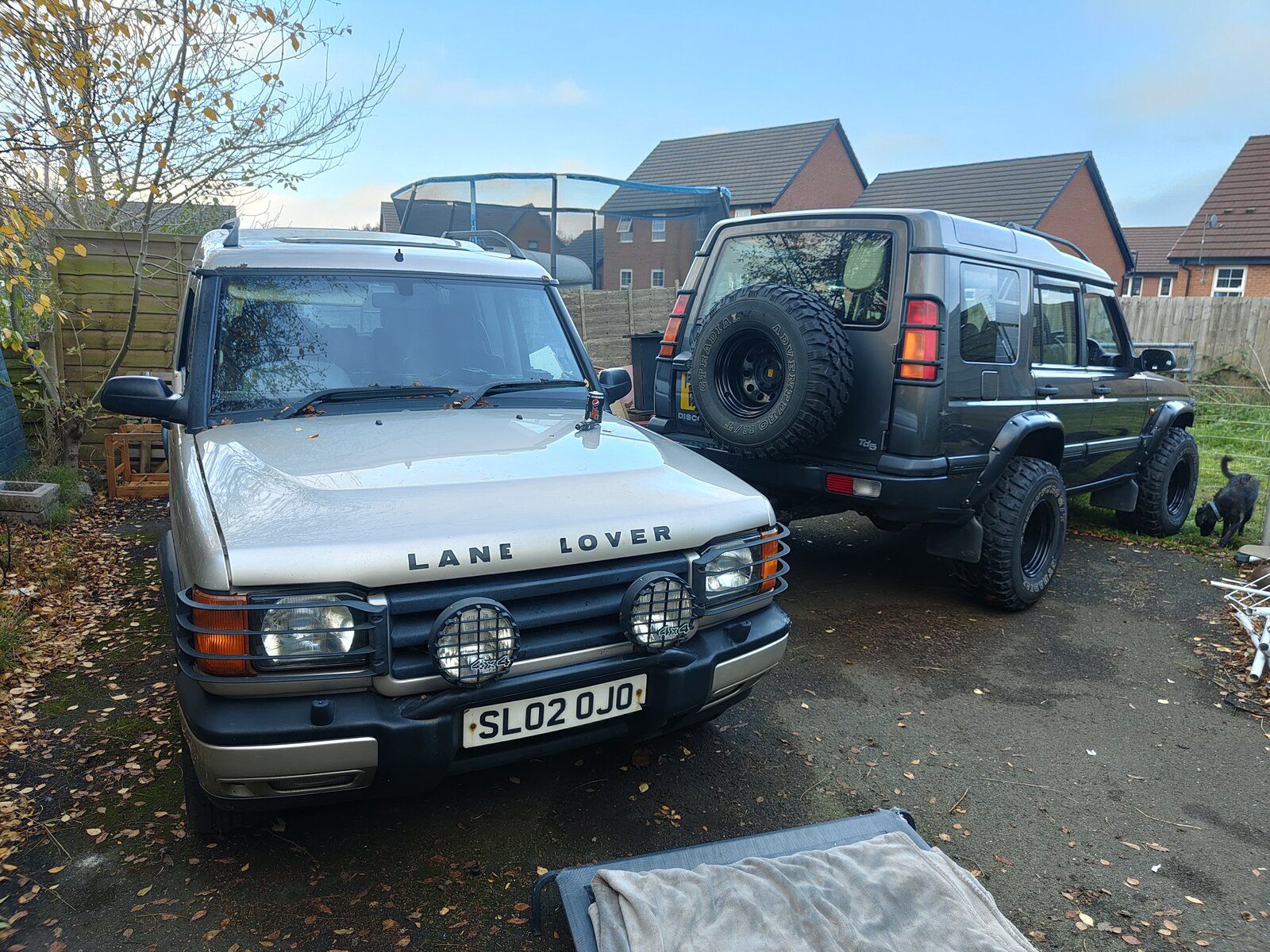 IMG20221112125931.jpg
