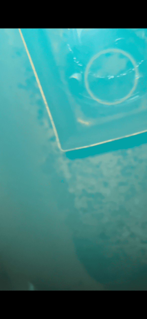 IMG_1224.PNG
