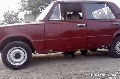 IMG_1332.GIF