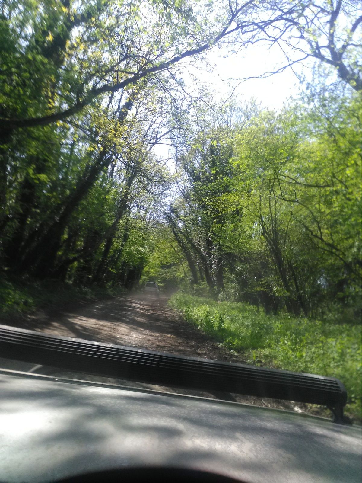 IMG_20180507_135157.jpg