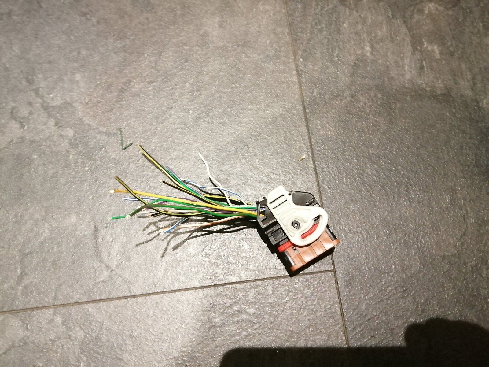 IMG_20201228_101002.jpg