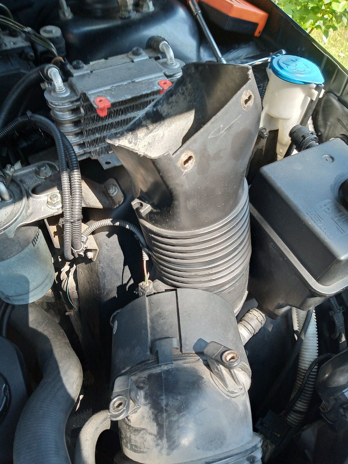 IMG_20210720_120840395.jpg