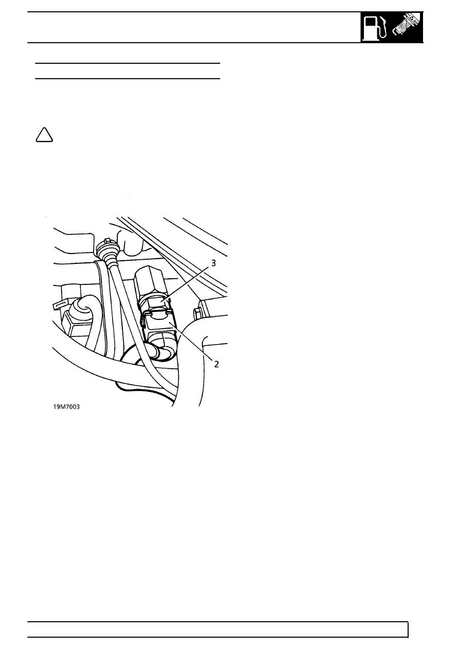IMG_3202.PNG
