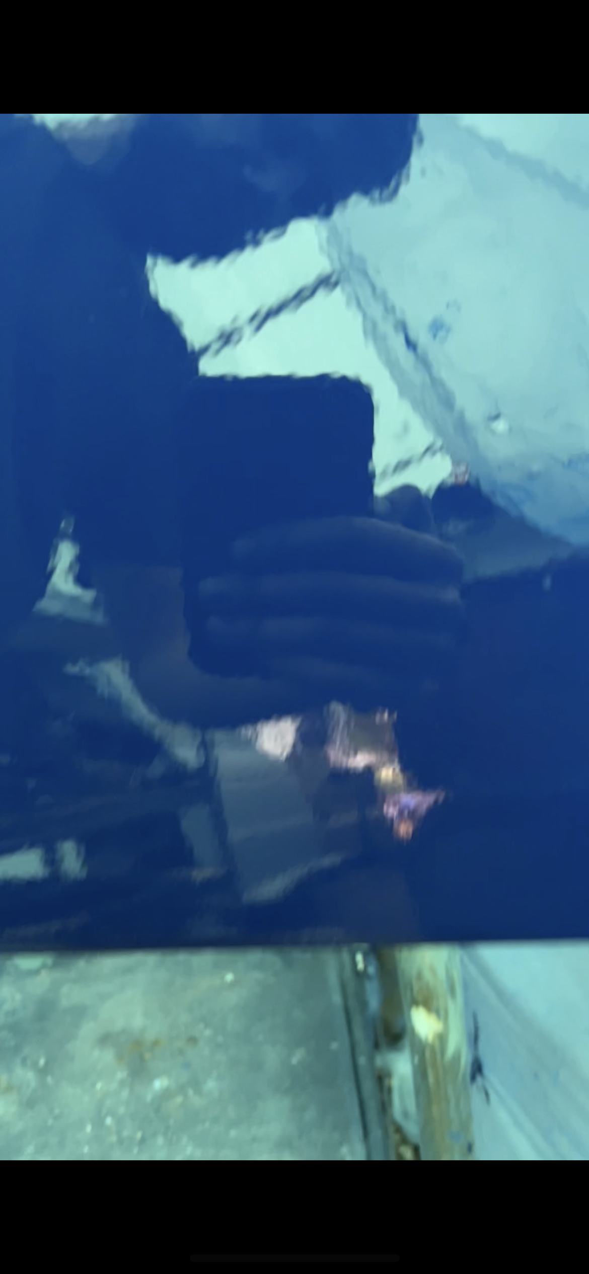 IMG_4495.png