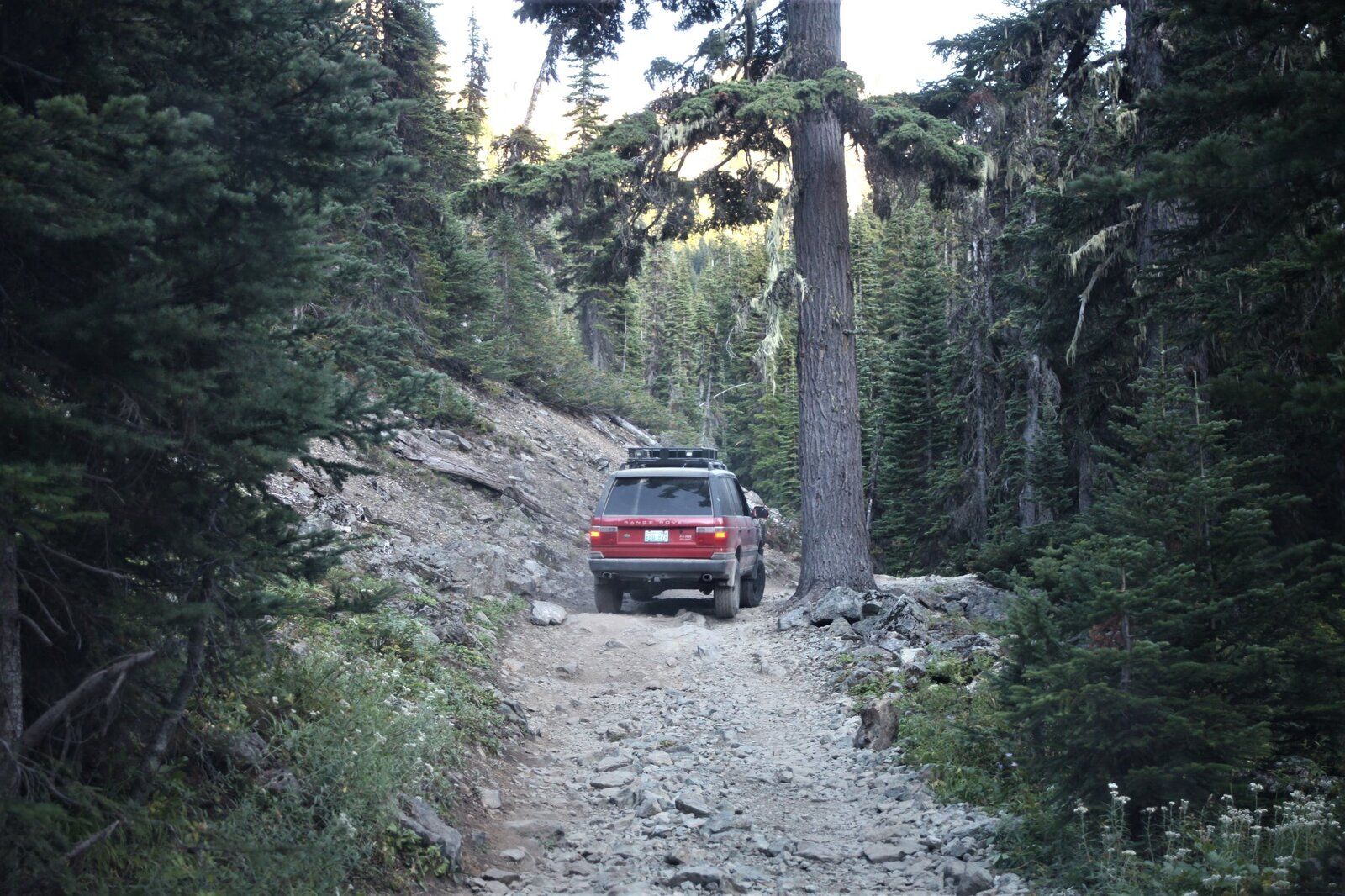 IMG_5525 (2) - Copy.JPG