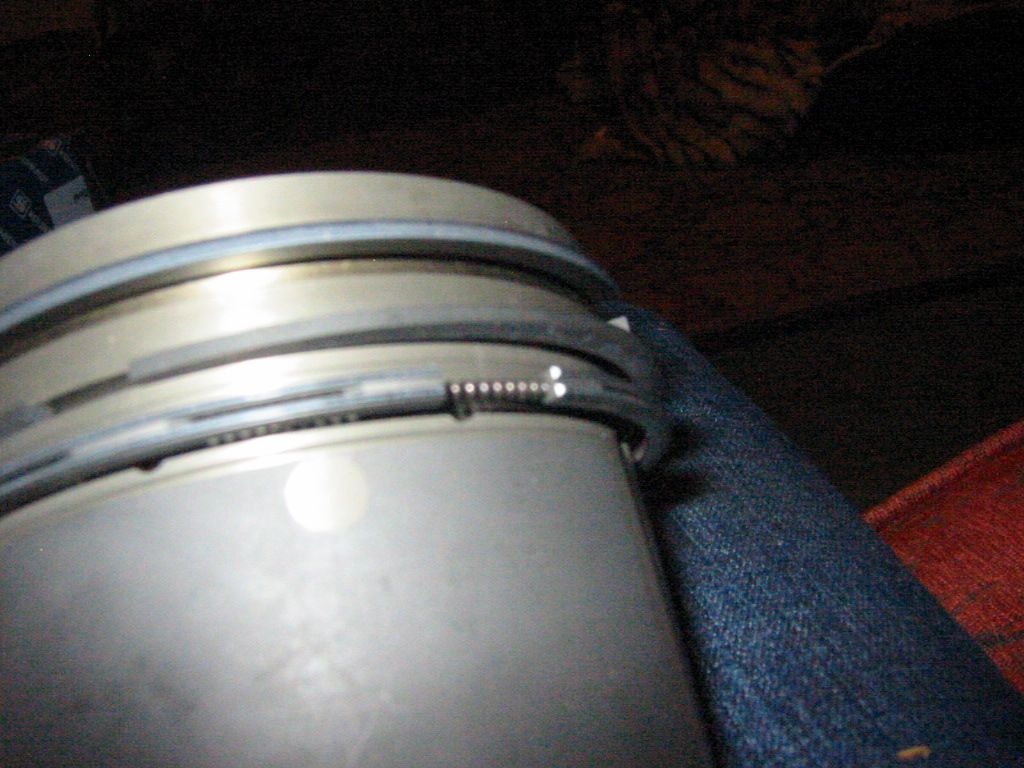 IMG_6039.JPG