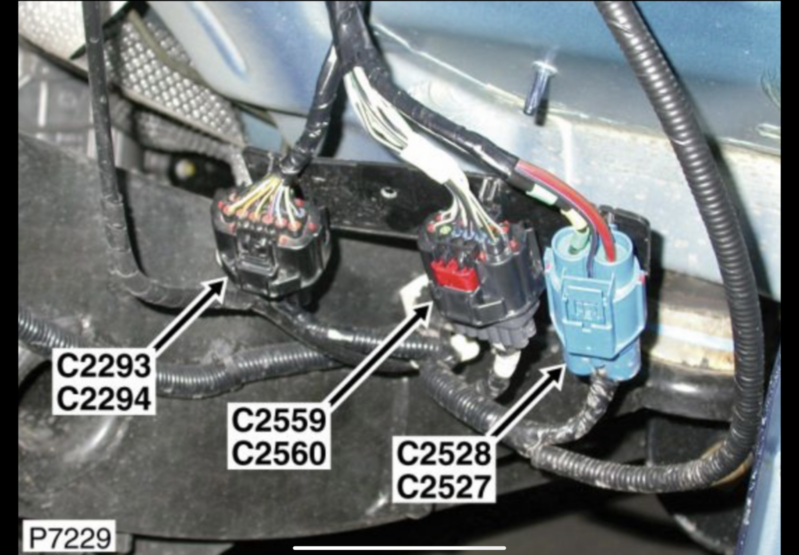 IMG_7147.png